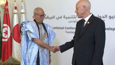 وزير الخارجية التونسي الأسبق ينتقد "استقبال غالي"