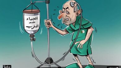 رئيس الجزائر يشيد بأداء "أسود الأطلس" ويرفض أي وساطة مع المغرب