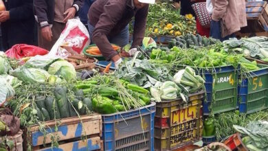 اجتماع وزاري يقرر إجراءات لضبط التموين والأسعار في أسواق المغرب