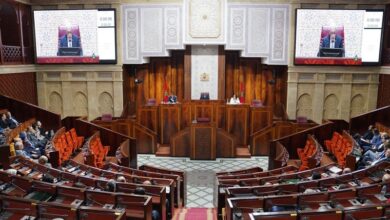 رئيس مجلس النواب: التموقع الدولي المتقدم للمغرب يثير حنق جهات خارجية‎‎