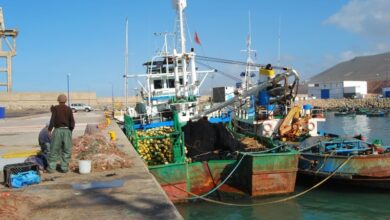 مرسوم جديد يتصدى للتلوث الناجم عن أنشطة مراكب الصيد البحري بالمغرب