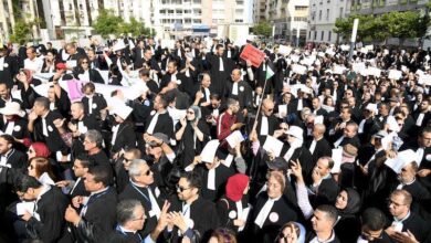 إعلان وزارة العدل عن إجراء "امتحان الأهلية" يستنفر هيئات المحامين بالمغرب